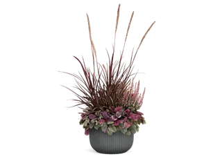 Seite 1 - Blooming Mates.png