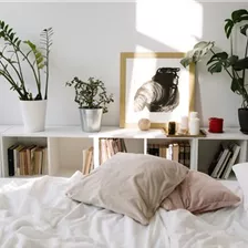 Pflanzen fürs Schlafzimmer