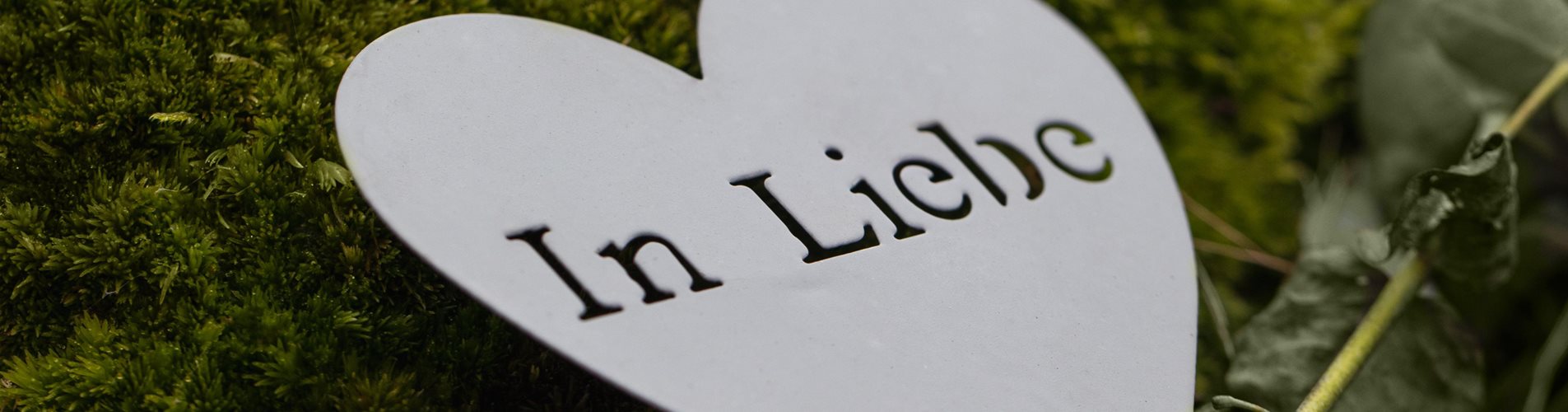 Header Grabdeko Header Grabdeko
