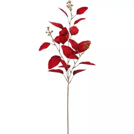 Eukalyptus Noble Velvet