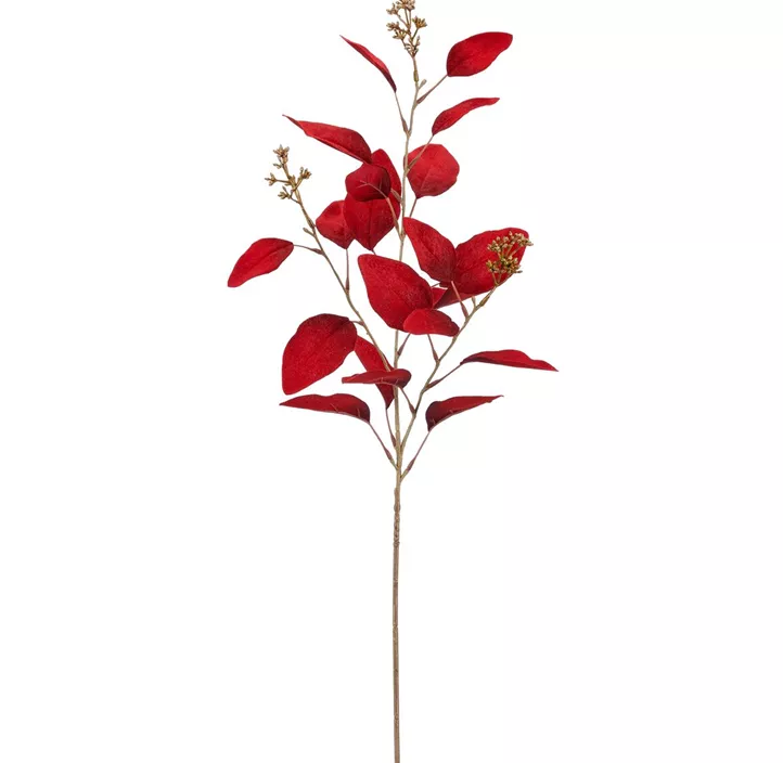 Eukalyptus Noble Velvet