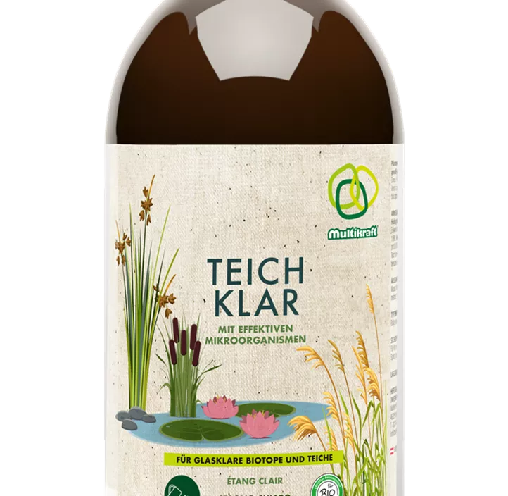 Teich Klar
