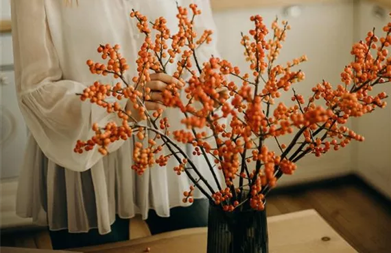 Beeren in Vase arrangieren