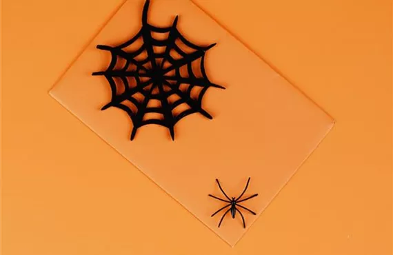 Halloweenparty EInladung Halloweenparty EInladung
