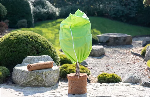 Überwinterung - Pflanzensack und Kokosmatte Überwinterung - Pflanzensack und Kokosmatte