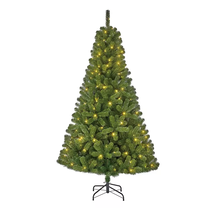 Weihnachtsbaum Charlton 470L 1239 Tips