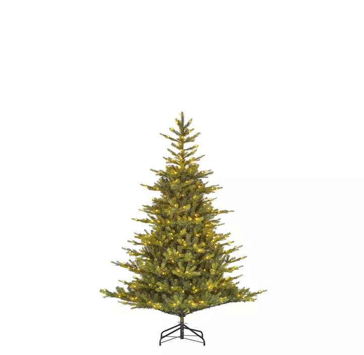 Weihnachtsbaum Grimshaw 180L 1038 Tips