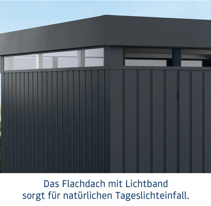 mit Lichtband und 1 flügeliger Tür