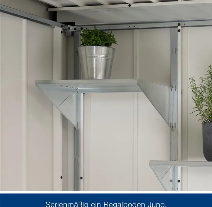 mit Halb-Fenster und 1 flügeliger Tür