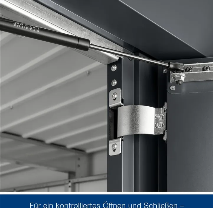 mit Halb-Fenster und 1 flügeliger Tür