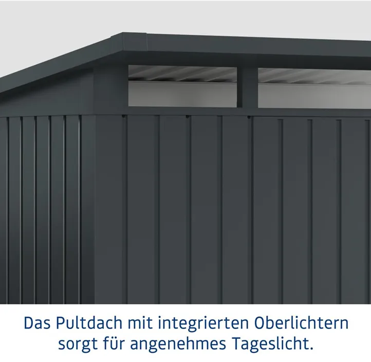 mit Oberlichte und 1 flügeliger Tür