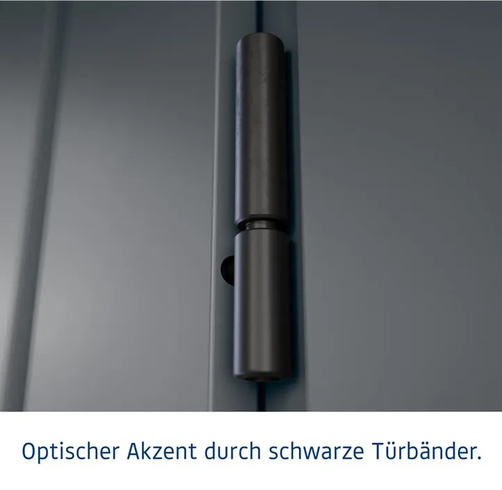 mit Oberlichte und 1 flügeliger Tür
