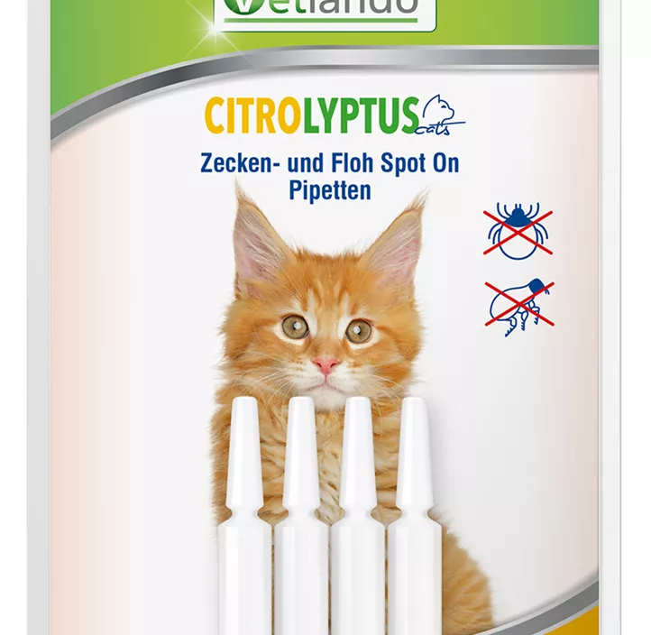 Zecken- und Flohpipetten Katze