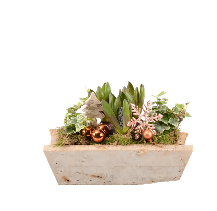 Arrangement Natur III