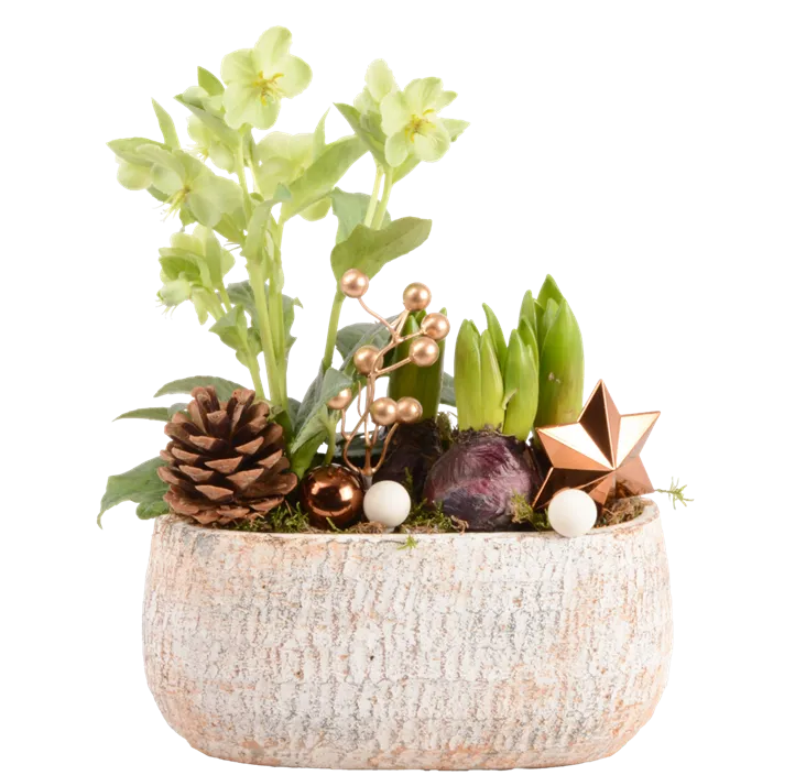 Arrangement Natur IV
