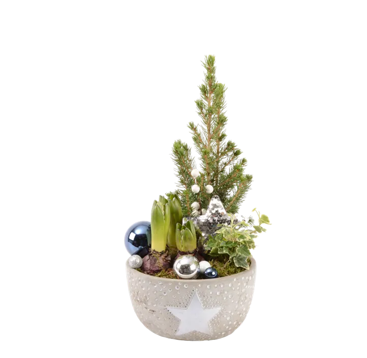 Arrangement Ice III