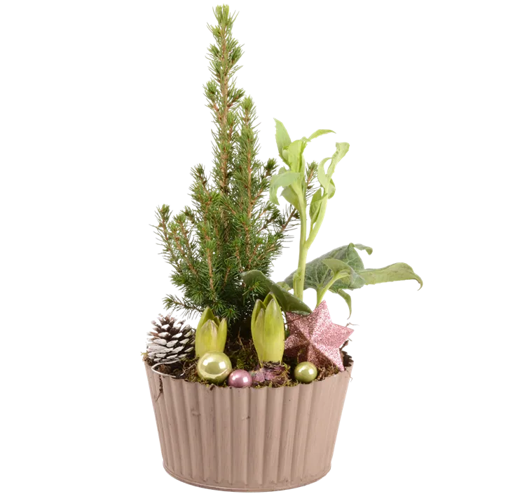 Arrangement Ice IV