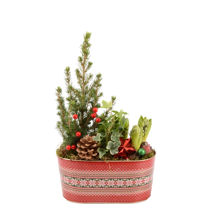 Arrangement Traditionell IV