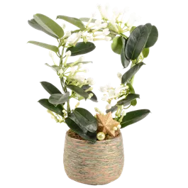 Arrangement Natur I