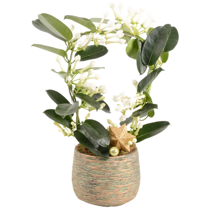 Arrangement Natur I