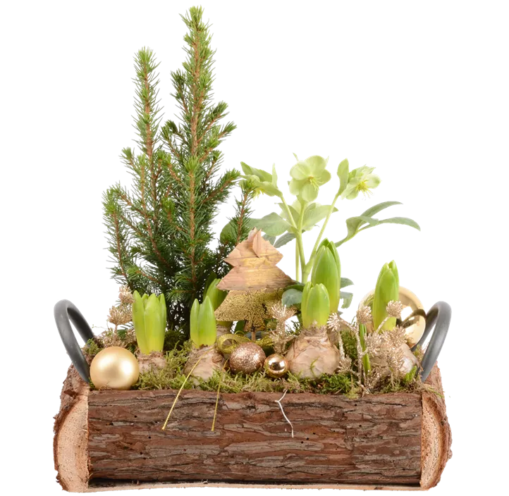 Arrangement Natur II