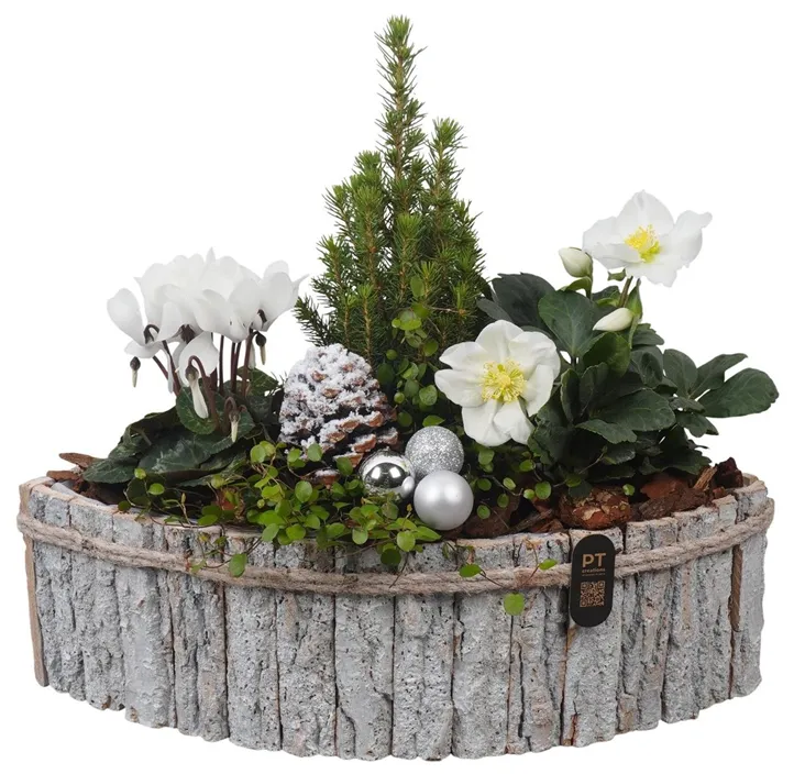 Weihnachts-Arrangement im Holzboot