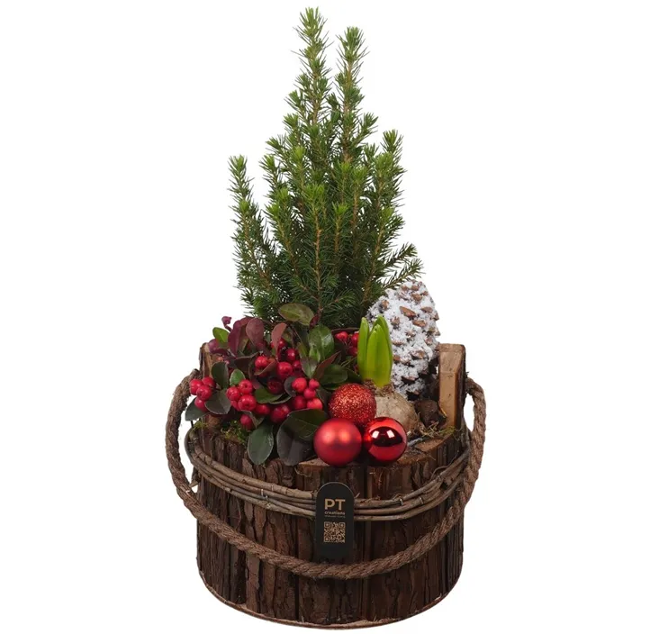 Weihnachts-Arrangement in Holzkiste