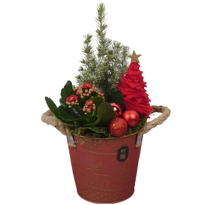 Weihnachts-Arrangement in Metallgefäß
