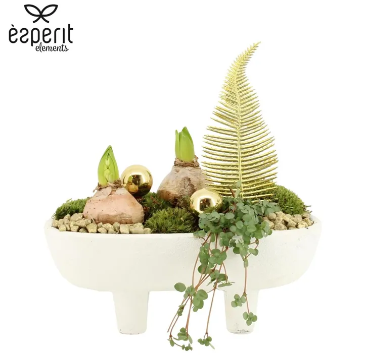 Weihnachts-Arrangement Elegant mit Hyazinthen