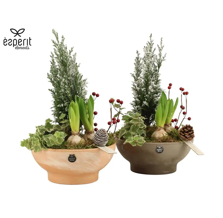 X-mas Arrangement Tonschale