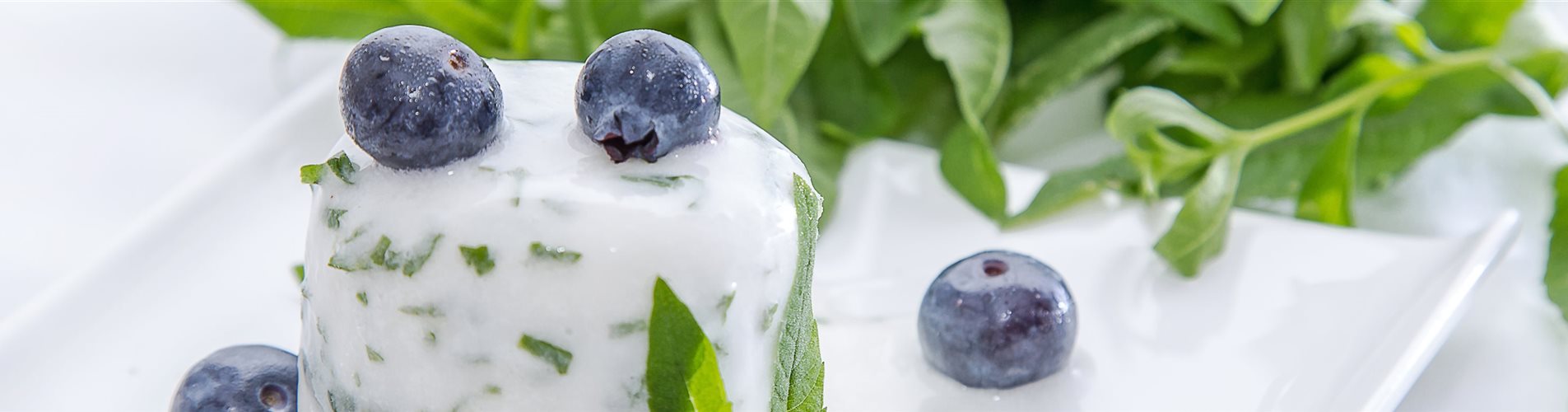 Sorbet mit Zitronenverbene Sorbet mit Zitronenverbene