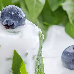 Sorbet mit Zitronenverbene