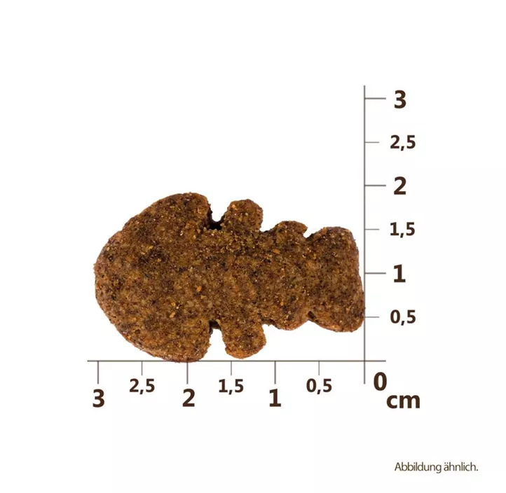 Snack CrunSnack Lachs Heidelbeere