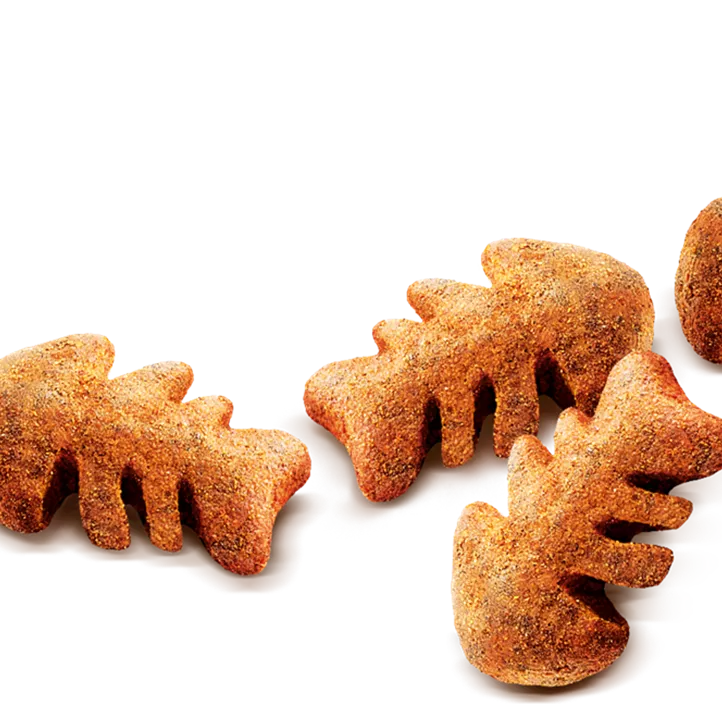 Snack CrunSnack Lachs Heidelbeere