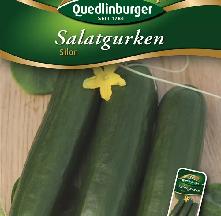 Salatgurke Silor