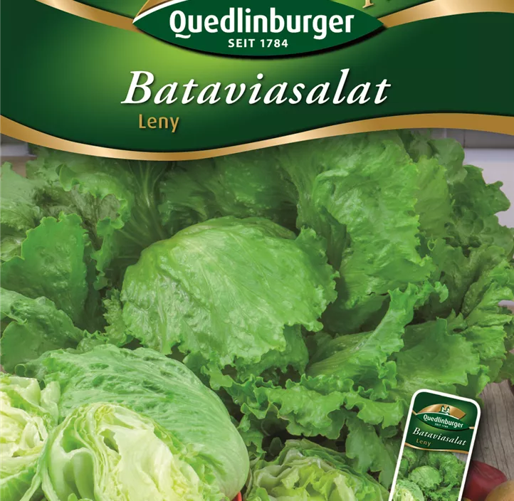 Bataviasalat Leny Bataviasalat Leny