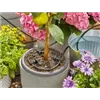 bellaflora Gartencenter GmbH