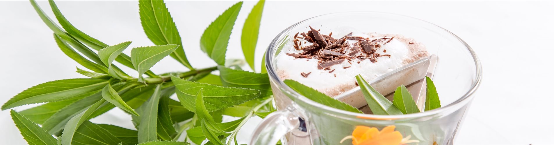 Heiße Schokolade Heiße Schokolade