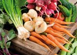 Gemüse haltbar machen - Vitaminbomben für den Winter